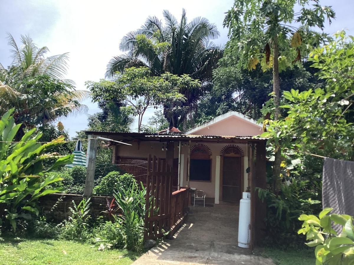Exotic Flower Cabin2 Pool Agua Bendita Екстер'єр фото